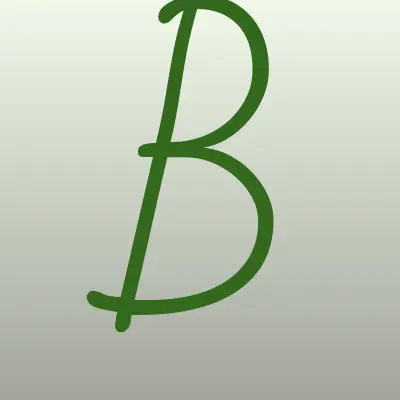 Братья Чистовы, клининговая компания, лого-визитка